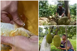 3 nghề độc lạ nhưng “kiếm tiền như nước” ở Việt Nam