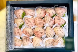 Sự thật đằng sau dâu tây Bạch Tuyết “giá bèo” bán đầy chợ mạng 