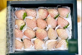 Sự thật đằng sau dâu tây Bạch Tuyết “giá bèo” bán đầy chợ mạng 