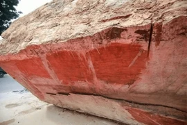 Tận thấy khúc gỗ 5.000 năm, 10 tỷ đồng tại Hà Nội