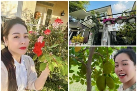 Khám phá biệt thự 220m2 phủ đầy cây xanh của Nhật Kim Anh