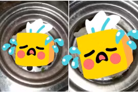 Cô gái rửa bát thấy sinh vật này, netizen xôn xao