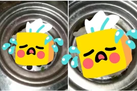 Cô gái rửa bát thấy sinh vật này, netizen xôn xao