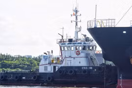 Hình ảnh đầu tiên của tàu metro ở TP.HCM