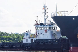 Hình ảnh đầu tiên của tàu metro ở TP.HCM