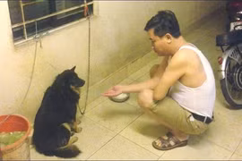 Nghe dân mạng kể chuyện khi say bố đòi bắt tay với... chó