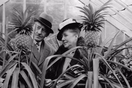 1 loại quả Việt từng là xa xỉ phẩm của giới quý tộc Anh