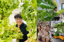 Khu vườn ngập rau xanh trên sân thượng nhà sao nam Việt