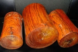 Sửng sốt loại gỗ từng làm chuồng lợn nay giá đắt ngang biệt thự 