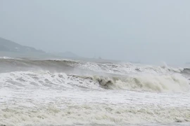 Vùng áp thấp ảnh hưởng tới tàu thuyền trên vịnh Bắc Bộ