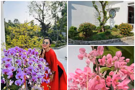 Cận cảnh nhà vườn 3.000m2 ngập tràn sắc hoa của Việt Trinh 
