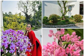 Cận cảnh nhà vườn 3.000m2 ngập tràn sắc hoa của Việt Trinh 