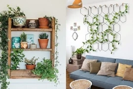 Giàn dây leo trong nhà đẹp mê ly ai cũng “thèm thuồng”