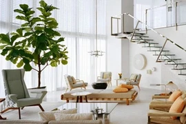 4 xu hướng trang trí nhà cực lạ sẽ lên ngôi 2018 