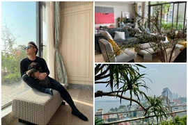 Bên trong căn nhà ngập hơi thở thiên nhiên của ca sĩ Tùng Dương