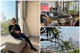 Bên trong căn nhà ngập hơi thở thiên nhiên của ca sĩ Tùng Dương