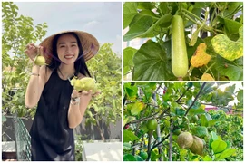 Thích mắt ngắm khu vườn trĩu quả trong nhà Diệp Bảo Ngọc 