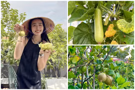 Thích mắt ngắm khu vườn trĩu quả trong nhà Diệp Bảo Ngọc 