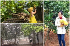 Nhà vườn rộng 1.000m2 ở ngoại thành Hà Nội của NSƯT Chiều Xuân
