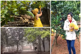 Nhà vườn rộng 1.000m2 ở ngoại thành Hà Nội của NSƯT Chiều Xuân