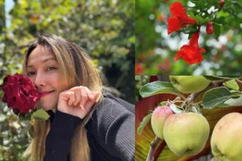 Cận cảnh khu vườn ngập hoa quả của Kim Hiền ở Mỹ