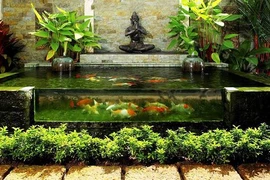 5 tiểu cảnh trong nhà được ưa chuộng nhất tại Việt Nam