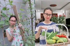 Cẩm Ly khoe vườn rau sạch mướt mát trong biệt thự triệu đô