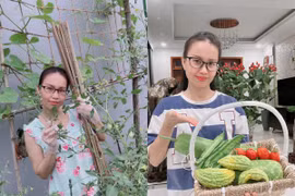 Cẩm Ly khoe vườn rau sạch mướt mát trong biệt thự triệu đô