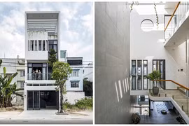 Nhà Sài Gòn kết nối hoàn hảo con người với thiên nhiên 