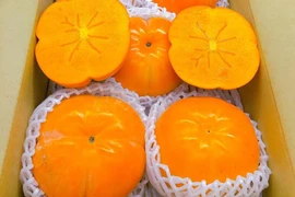 3 giống hồng Nhật siêu đắt đỏ vẫn cháy hàng