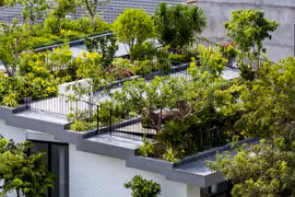 Ngôi nhà với khu vườn bậc thang trên mái ở Nha Trang