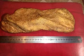 Công nhân nghèo đổi đời nhờ đào được cục vàng khổng lồ 