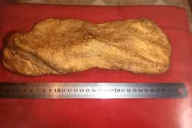 Công nhân nghèo đổi đời nhờ đào được cục vàng khổng lồ 