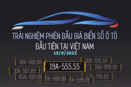 Đấu giá biển số ô tô: Biển số 19A-555.55 được trả 2,14 tỷ đồng