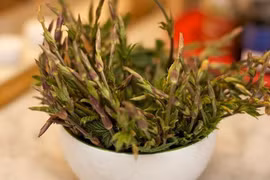 Bật mí về thứ bỏ đi thành rau khiến nhà giàu thèm khát