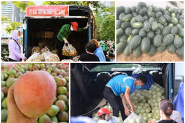 Hoa quả đặc sản vào mùa giá mềm ở Hà Nội hút khách giữa đại dịch