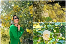 Biệt thự đẹp như thiên đường của nghệ sĩ Hồng Đào tại Mỹ