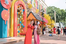 Du khách nô nức chụp ảnh Tết sớm ở 'cầu Thê Húc, Văn Miếu' TP.HCM