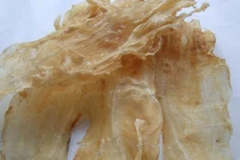 Thứ tưởng bỏ đi trong bụng cá có giá cao không ngờ