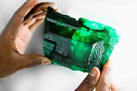 Khai quật viên ngọc lục bảo khổng lồ nặng 1,1kg