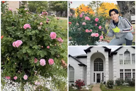Biệt thự rực rỡ hoa hồng của ca sĩ Đan Trường hậu ly hôn 