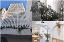 Nhà phố 38m2 trong hẻm nhỏ vẫn ngập nắng gió giữa Sài Gòn 