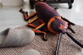 Trang trại nuôi 6 tỷ con gián: Tưởng kinh dị mà hái ra tiền