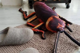 Trang trại nuôi 6 tỷ con gián: Tưởng kinh dị mà hái ra tiền