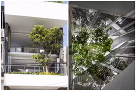 Ngôi nhà “chơi nắng, vờn gió” độc đáo ở Nha Trang