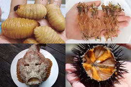 Đặc sản nhìn "nổi da gà" giá chát vẫn hút nhà giàu Việt