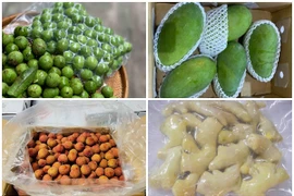 Sấu, gừng, xoài xanh được bán giá ngất ngưởng tại Úc