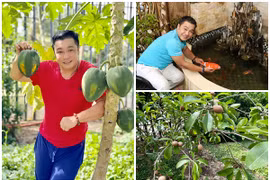 Cận cảnh biệt thự 700 m2 của diễn viên Lý Hùng