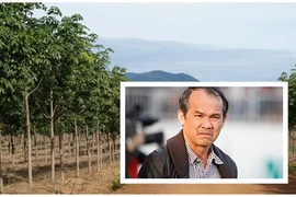 Bầu Đức có nông trường gì gần đập thủy điện bị vỡ?