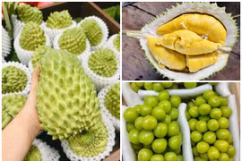 3 loại quả đắt đỏ bất ngờ thành hàng bình dân bán đầy chợ 